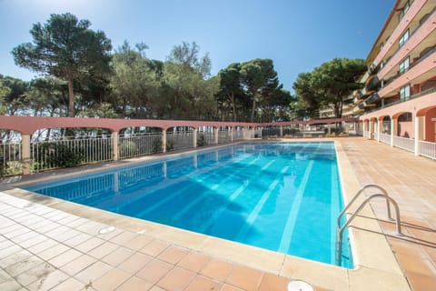 Property building, Living room, Swimming pool