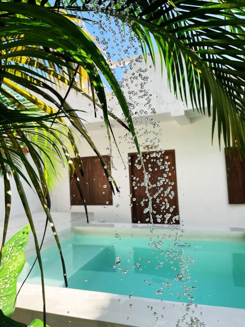 Shower, Facade/entrance, Garden, Hot Tub, Nightclub / DJ, Solarium, Garden view, Pool view, Swimming pool, internet