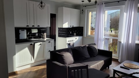 Kitchen or kitchenette, Living room, Seating area, Dining area, dishwasher, stove