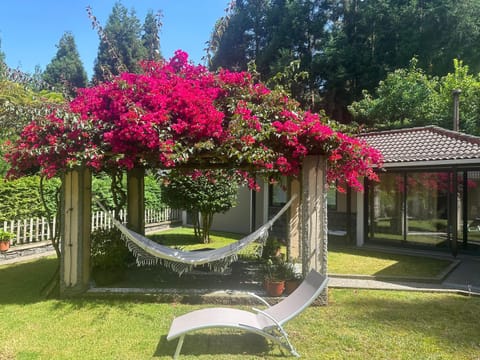 Balcony/Terrace, Garden view, sunbed