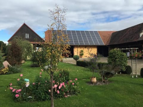 Property building, Day, Garden view