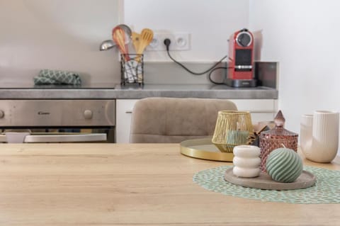 Superbe appartement proche de stations de ski Apartment in Thonon-les-Bains