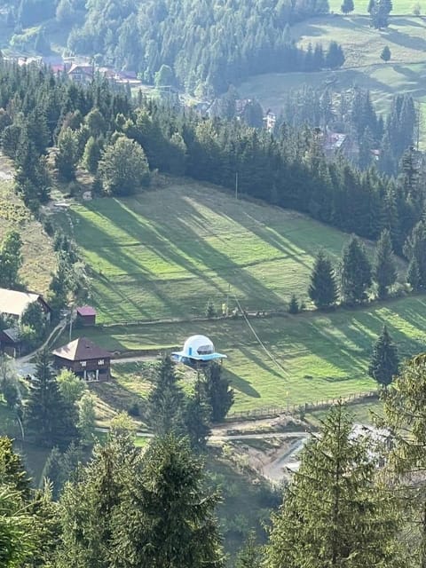 Property building, Natural landscape, Bird's eye view, Garden