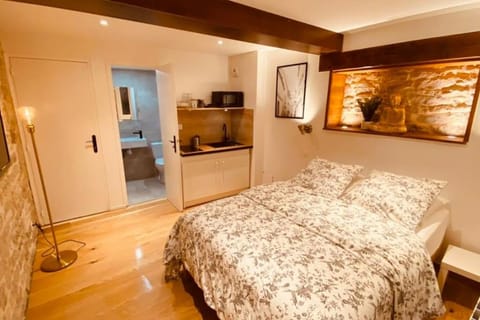 Studio rénové avec patio, coeur du centre ville Apartment in Besançon