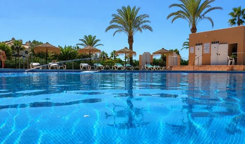Day, Pool view, Swimming pool, sunbed