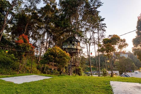 View (from property/room)