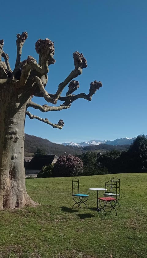 Mountain view