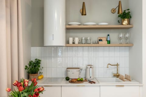 Coffee/tea facilities, Kitchen or kitchenette, stove