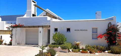 Milk Thistle Loft & Studio apartments Apartment in Western Cape