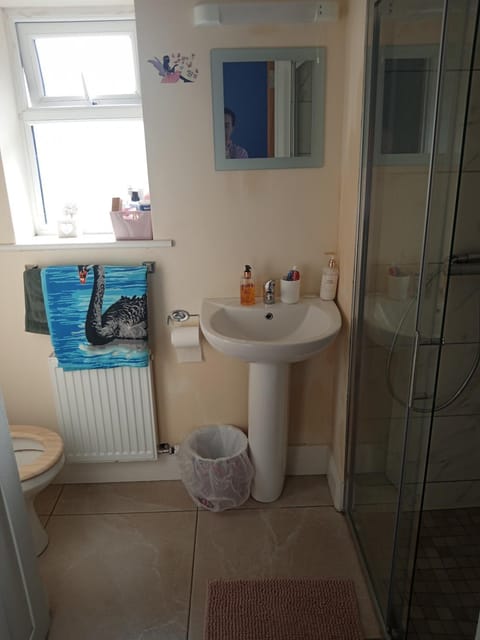 Swan Studio Haven Apartment in County Clare