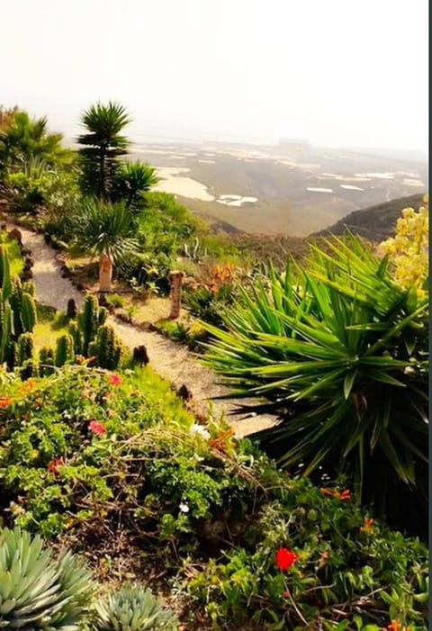 Summer, Garden