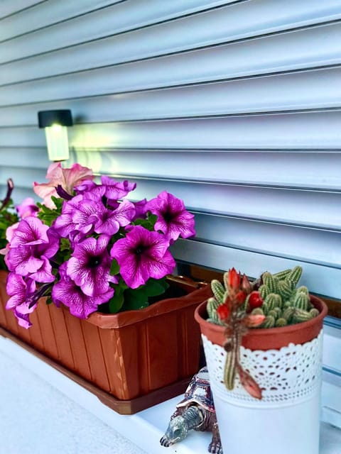 Jelly Apartment Apartment in Federation of Bosnia and Herzegovina