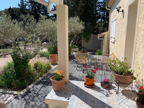 Patio, Garden view