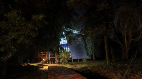 Property building, Night, Natural landscape