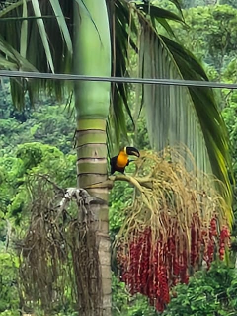 Doce aconchego são Roque House in State of Rio de Janeiro