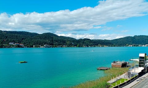 View (from property/room), Beach, sunbed