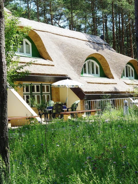 Property building, Garden view