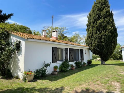 Property building, Spring, Day, Garden, Garden view
