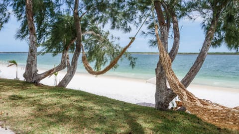 Day, Natural landscape, Beach, Lake view