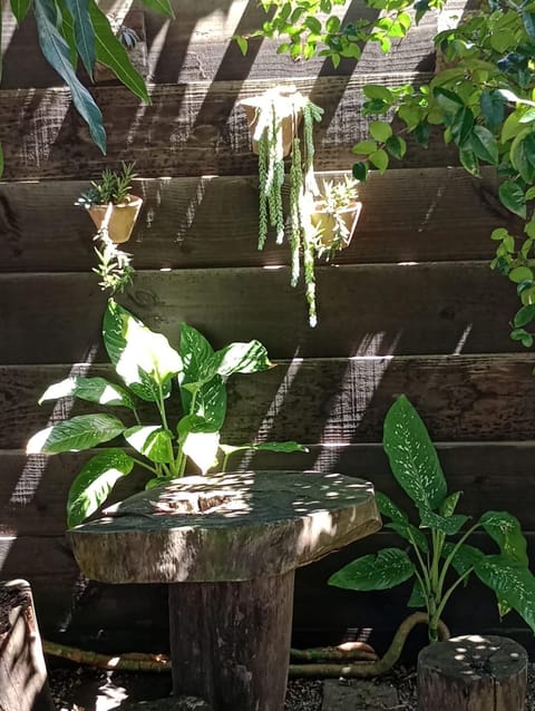 Solo Buziano- Casa de Temporada Vacation rental in Armacao dos Buzios