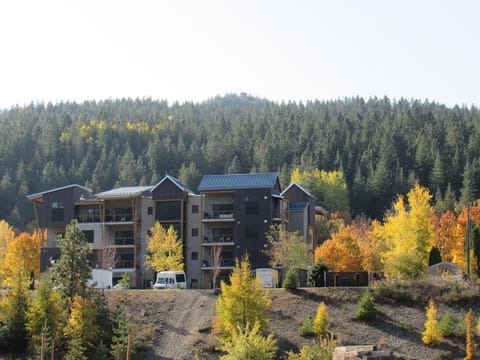 Large Studio Condo with Full Kitchen, Ski, Bike, Beautiful Balcony Views Hottub Fireplace Apartment in Kellogg