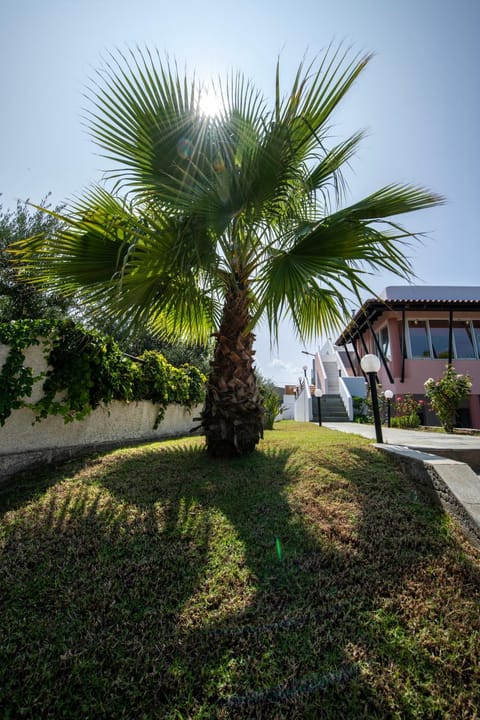 Day, Natural landscape, Garden, Garden view