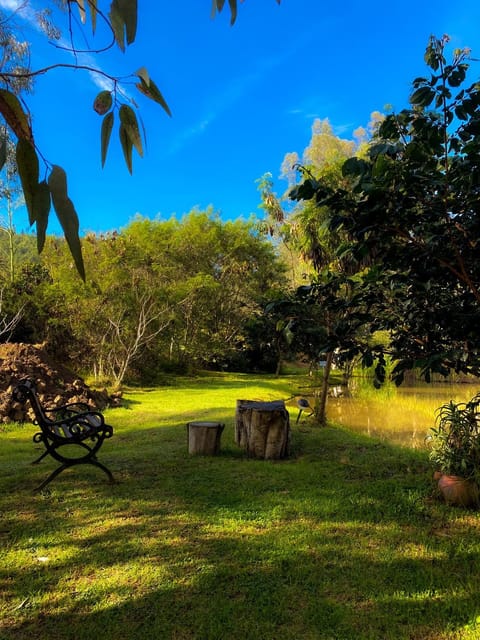 Day, Natural landscape, Garden view