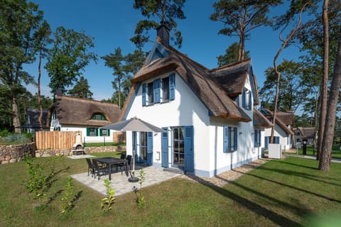 Property building, Garden view