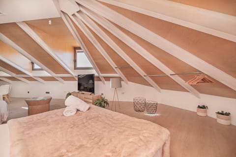 Luxury apartments in Barrio Palacio Apartment in Centro