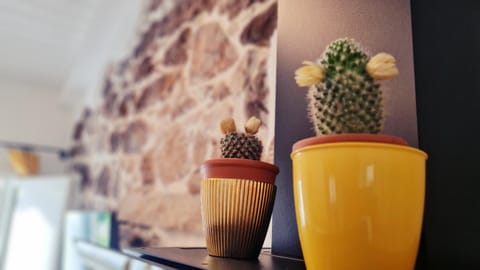 Lo Stazzo della Dottoressa House in Sardinia