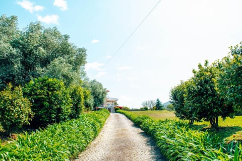 Just Like Home - Casa do Rosmaninho Villa in Viana do Castelo District, Portugal