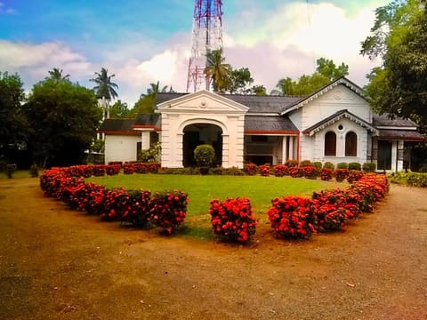 Natural landscape, Summer, Garden view