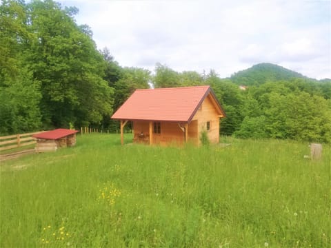 Property building, Spring, Natural landscape