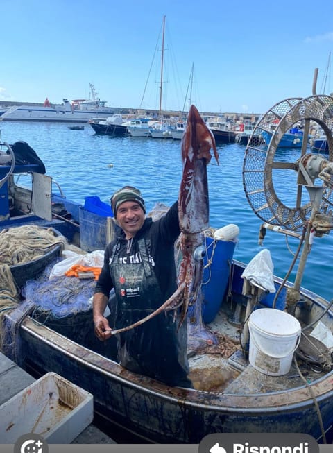 Casa Landi Apartment in Cetara