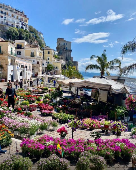 Casa Landi Apartment in Cetara