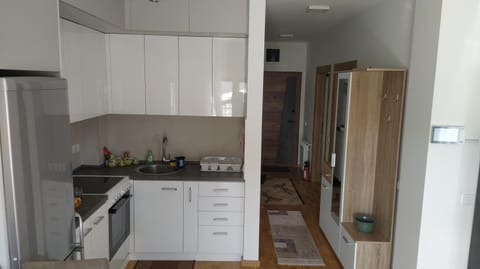 Kitchen or kitchenette, minibar, pet friendly, stove