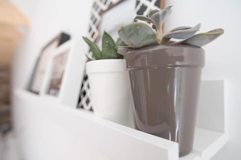 Cwtch, cozy studio, private, separate entrance. Apartment in Wales