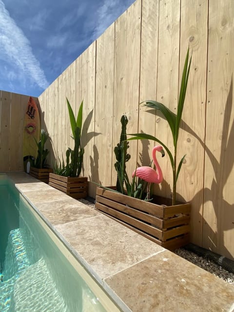 Day, Garden view, Pool view, Swimming pool, sunbed