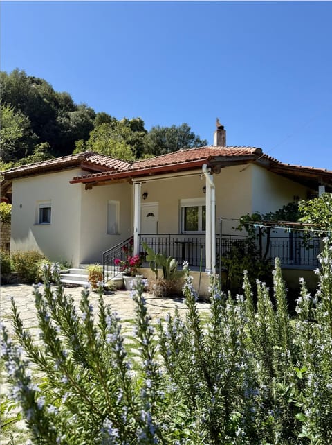 Property building, Spring, Garden view