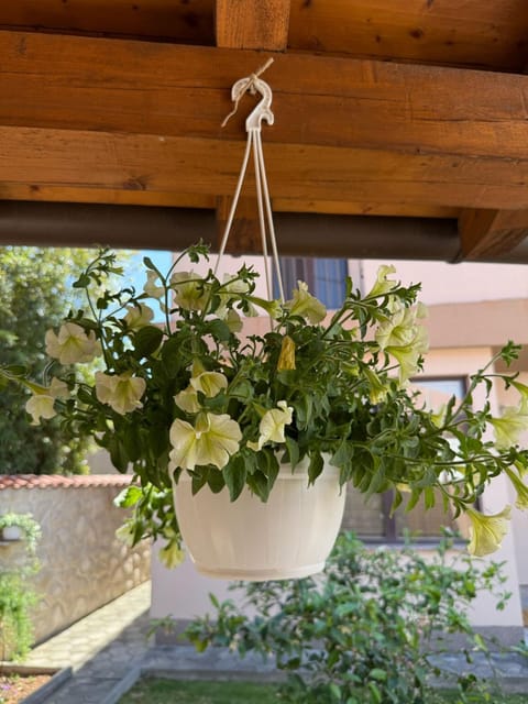 Apartmani Zara & Duje Apartment in Šibenik-Knin County, Croatia