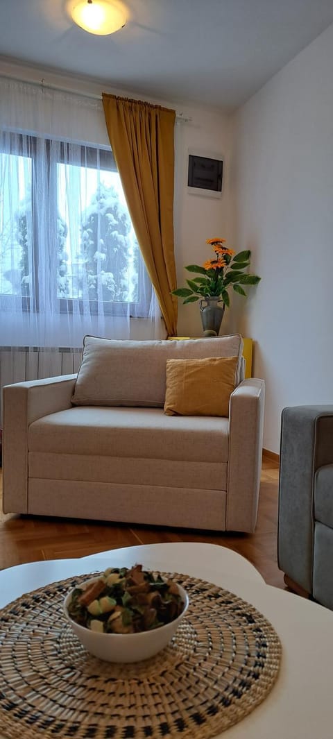 Apartman VNV Apartment in Zlatibor