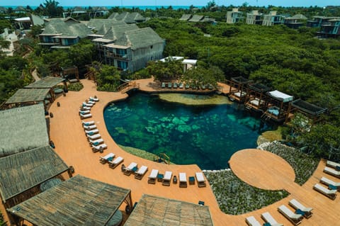 Bird's eye view, Photo of the whole room, Swimming pool