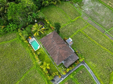 Property building, Bird's eye view, Garden, Garden, Garden view, Pool view, Swimming pool
