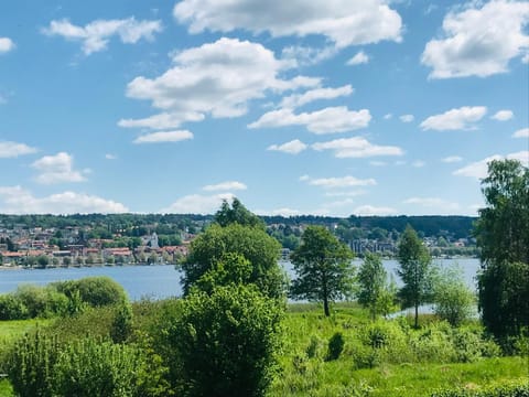 Lake view
