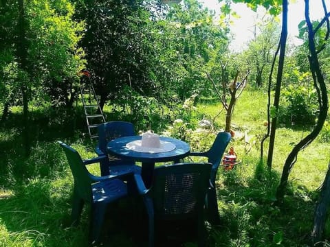 Spring, Day, Natural landscape, Garden, Garden view