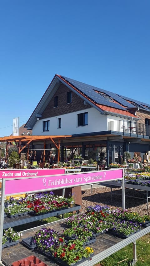 Lemp's Genussgarten Apartment in Langenargen