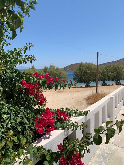 Natural landscape, Beach