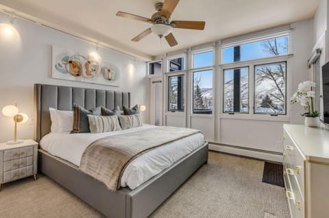 New Listing! 3 BR 3 BA Updated Condo - Pool & Hot-tub Apartment in Aspen