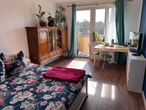 TV and multimedia, Living room, Photo of the whole room, Bedroom