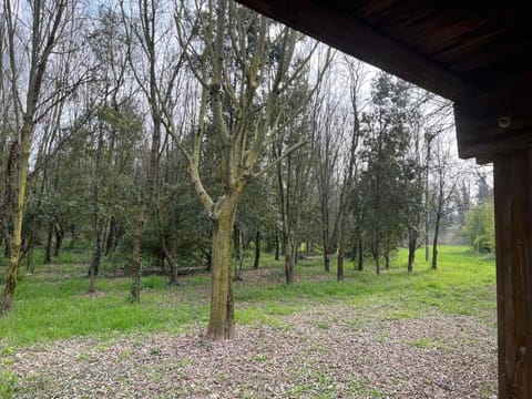 Green Woods Apartment in Verona